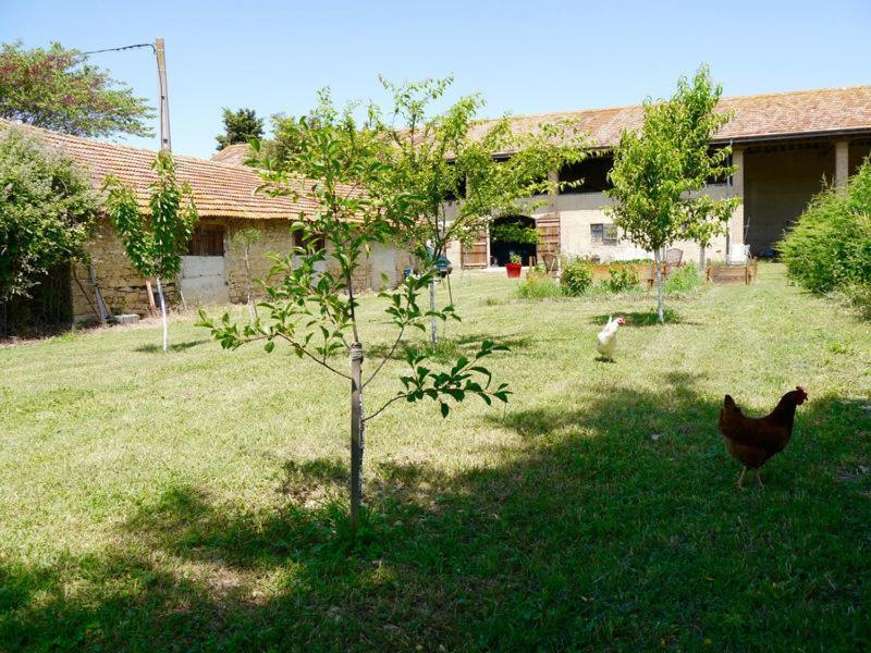 Ferme St Pierre 2 Suites Avec Repas, Piscine, Clim, Cheminee Ou Baignoire Spa Chabeuil Eksteriør bilde