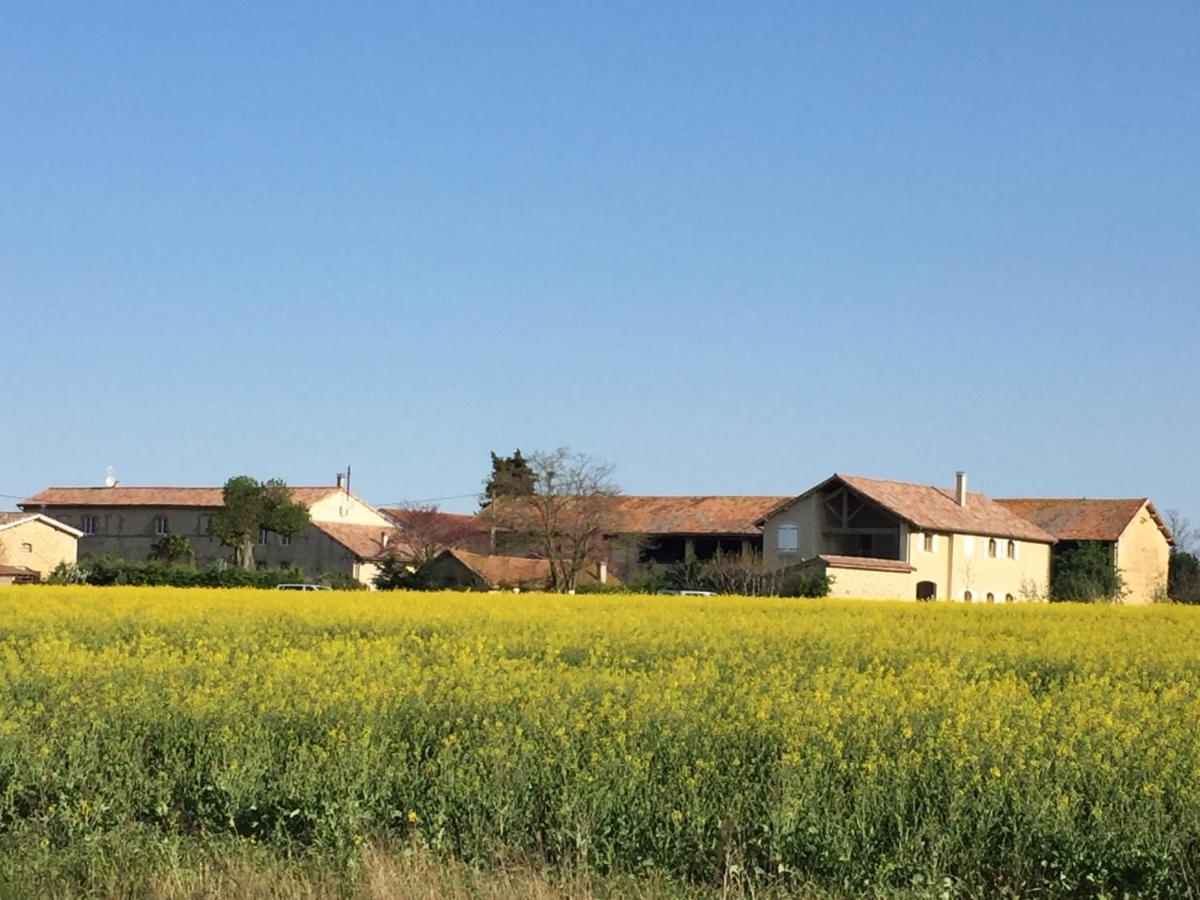 Ferme St Pierre 2 Suites Avec Repas, Piscine, Clim, Cheminee Ou Baignoire Spa Chabeuil Eksteriør bilde