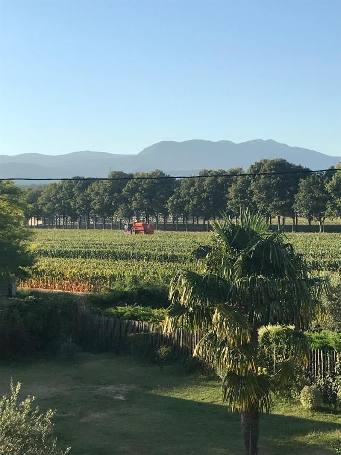Ferme St Pierre 2 Suites Avec Repas, Piscine, Clim, Cheminee Ou Baignoire Spa Chabeuil Eksteriør bilde